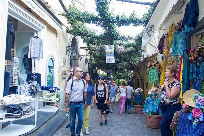 Private Pompeii & Amalfi Coast Shore Excursion from Naples Port - Insights Gleaned from Reviews