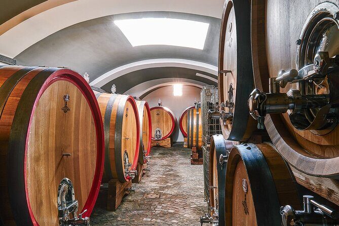 Private Pompeii, Herculaneum and Winery Tour from Naples - In-Depth Review of the Tour Experience