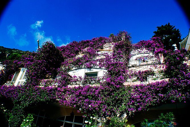 Private Pompeii, Sorrento & Mozzarella Making Tour from Naples - The Sum Up