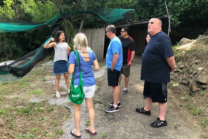 Private Pompeii Tour with lunch and Olive Oil Factory Experience - Frequently Asked Questions