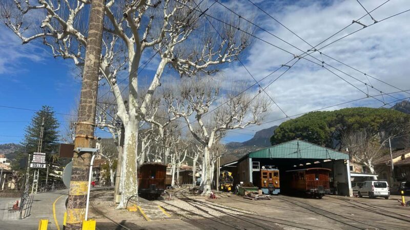 PRIVATE Port de Sóller, Sóller, and Sa Foradada Sunset Tour - An In-Depth Look at the Experience