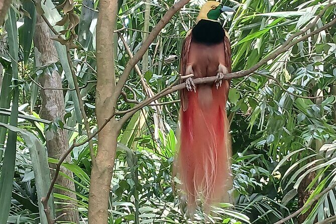 Private Port Moresby City Tour - Who Is This Tour Best Suited For?