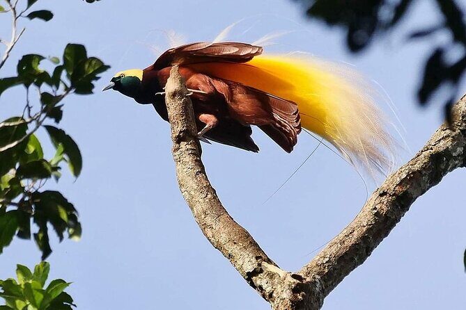 Private Port Moresby City Tour - FAQ