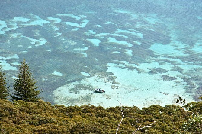 Private Port Stephens Day Trip from Sydney incl Dolphin Cruise - The Sum Up