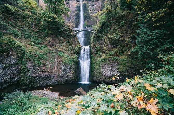 Private Portland City/Gorge Waterfalls Tour - Who Is This Tour Best For?