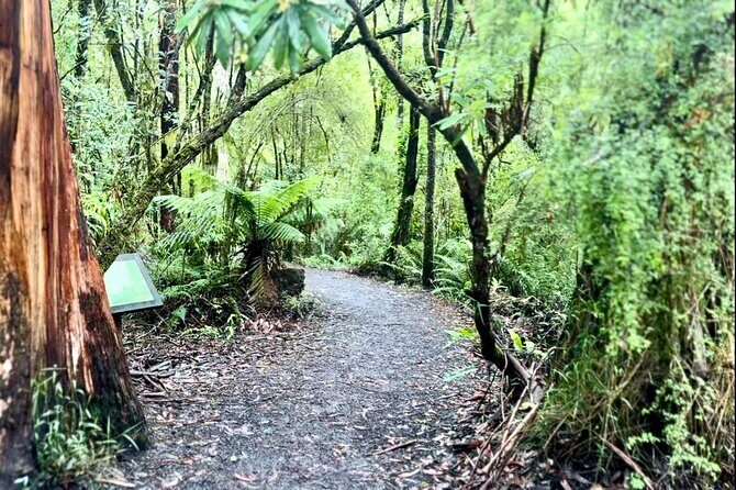 Private Premium Great Ocean Road with Lunch & Wildlife spotting - FAQ