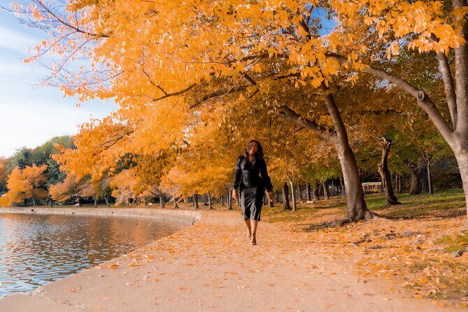 Private Professional Vacation Photoshoot in Petaluma - The Practical Details