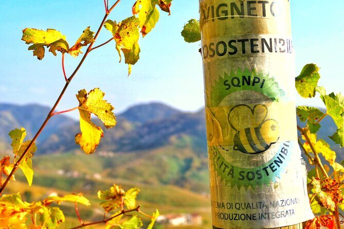 Private Prosecco Tour, with a certified Sommelier - An In-Depth Look at the Tour Experience