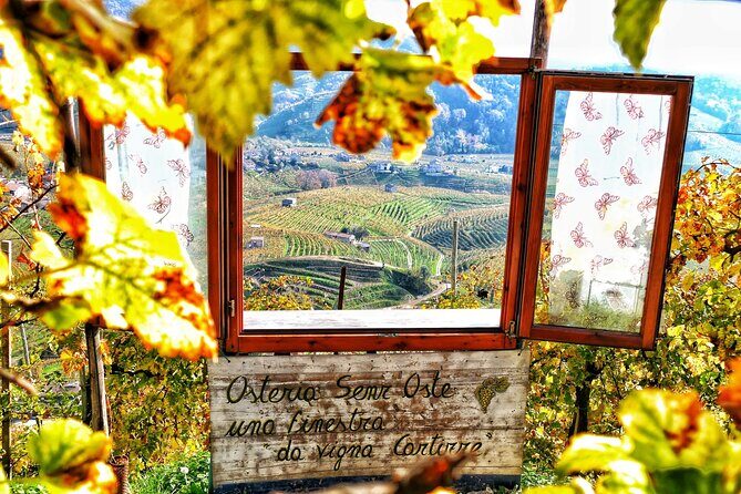 Private Prosecco Tour, with a certified Sommelier - The Sum Up: Who Should Consider This Tour?