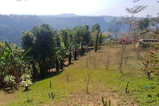Private Pyin Oo Lwin Day Return Tour - Key Points