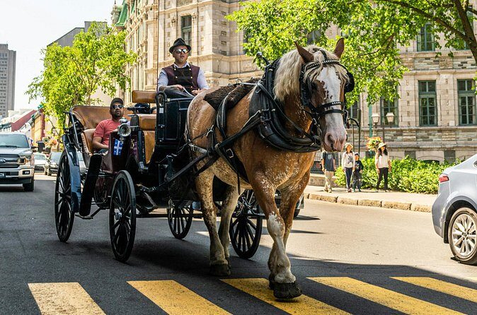 Private Québec City Highlights 3 Hour Walking Tour - Who Will Love This Tour?