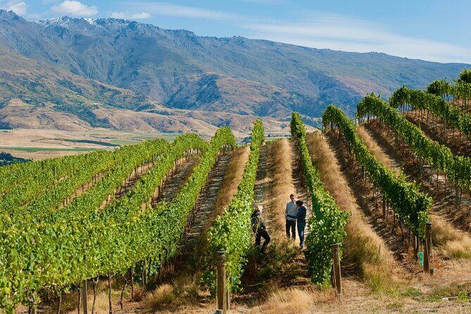 Private Queenstown Wine Tour All-Inclusive Tour - What Makes This Tour Stand Out