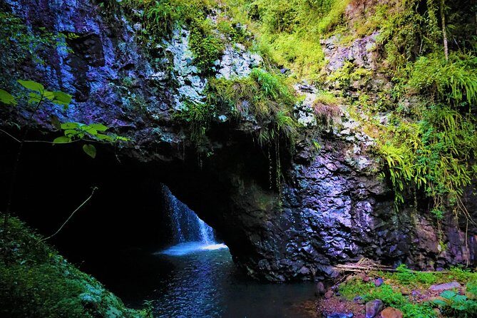 Private Rainforest & Wildlife Tour - Build Your Own Experience - The Sum Up