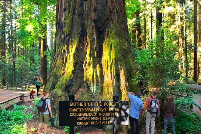 Private Redwoods Tour & Beach Horseback Riding Experience from San Francisco - A Closer Look at the Itinerary