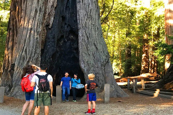 Private Redwoods Tour & Beach Horseback Riding Experience from San Francisco - Authentic Traveler Insights