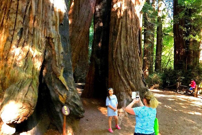 Private Redwoods Tour & Beach Horseback Riding Experience from San Francisco - The Sum Up