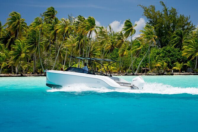 Private Reef Discovery Luxury Motu Lunch Cruise in Bora Bora - Why This Tour Stands Out