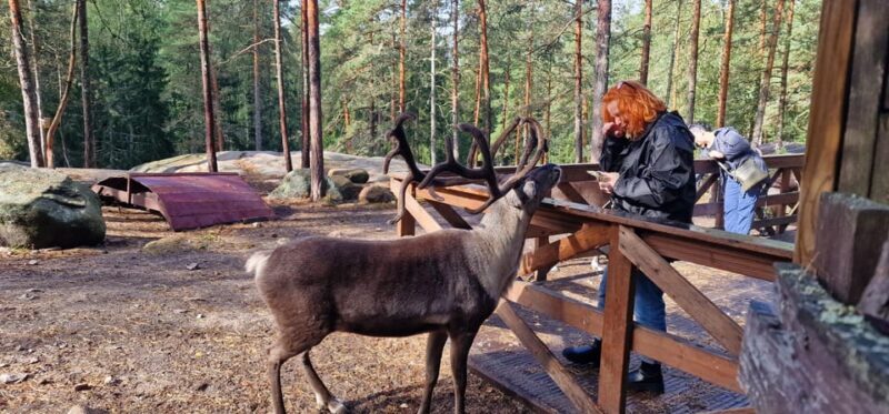 PRIVATE Reindeer Park Adventure by VIP Car - Key Points