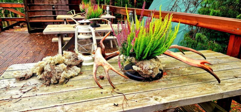 PRIVATE Reindeer Park Adventure by VIP Car - An In-Depth Look at the Reindeer Park Adventure