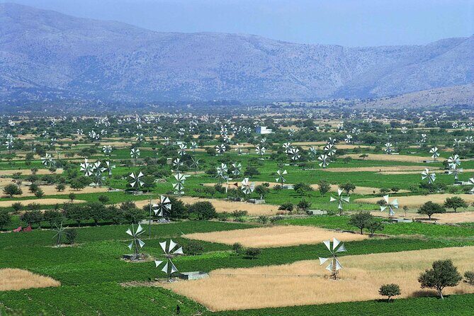 Private Rethymno old town,kourtaliotiko waterfalls& preveli beach - FAQ