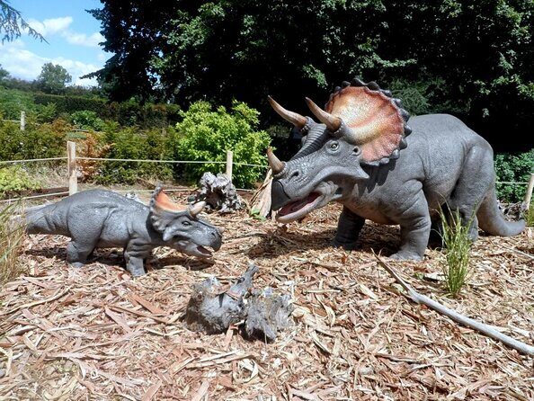 Private Return Transfer Thoiry Zoo Safari from Paris - Key Points