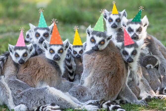 Private Return Transfer Thoiry Zoo Safari from Paris - FAQ