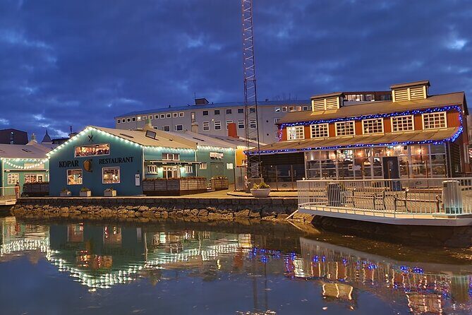 Private Reykjavik City Tour - Exploring Reykjavik’s Natural and Historical Highlights