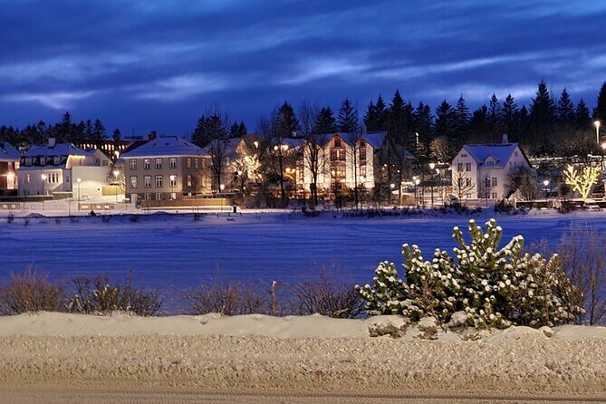 Private Reykjavik City Tour - Why This Tour Can Be a Great Choice