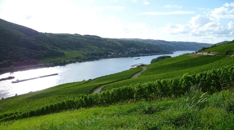 Private Rhine Valley tour with river cruise & wine tasting - Detailed Review of the Rhine Valley Private Tour