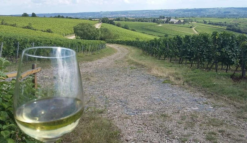 Private Rhine Valley tour with river cruise & wine tasting - Who Will Enjoy This Tour?