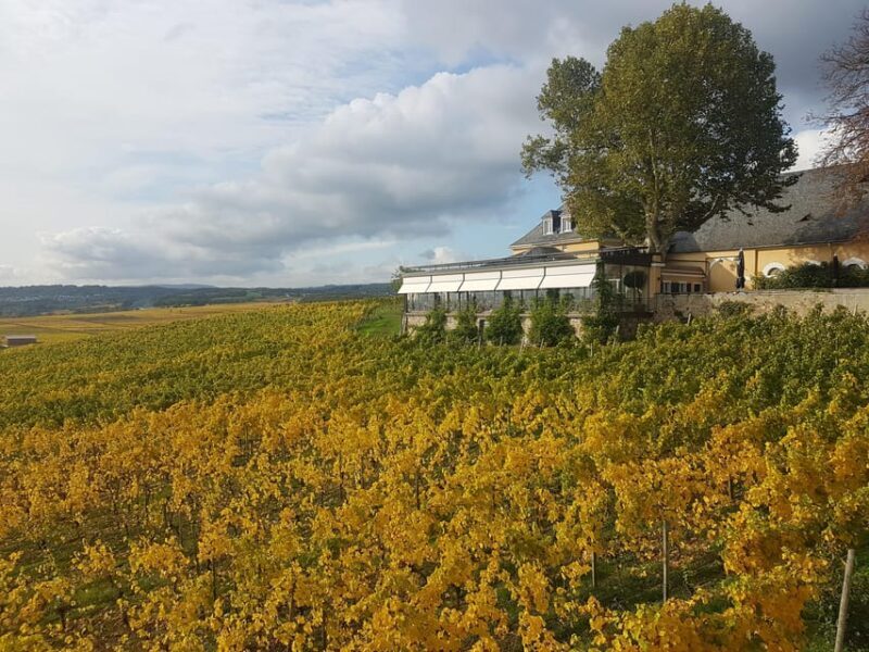 Private Rhine Valley tour with river cruise & wine tasting - FAQ