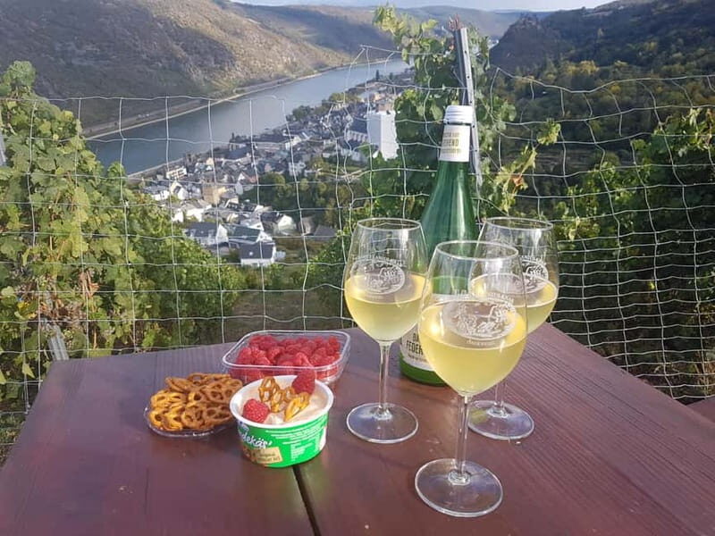 Private Rhine Valley tour with river cruise & wine tasting - Final Thoughts