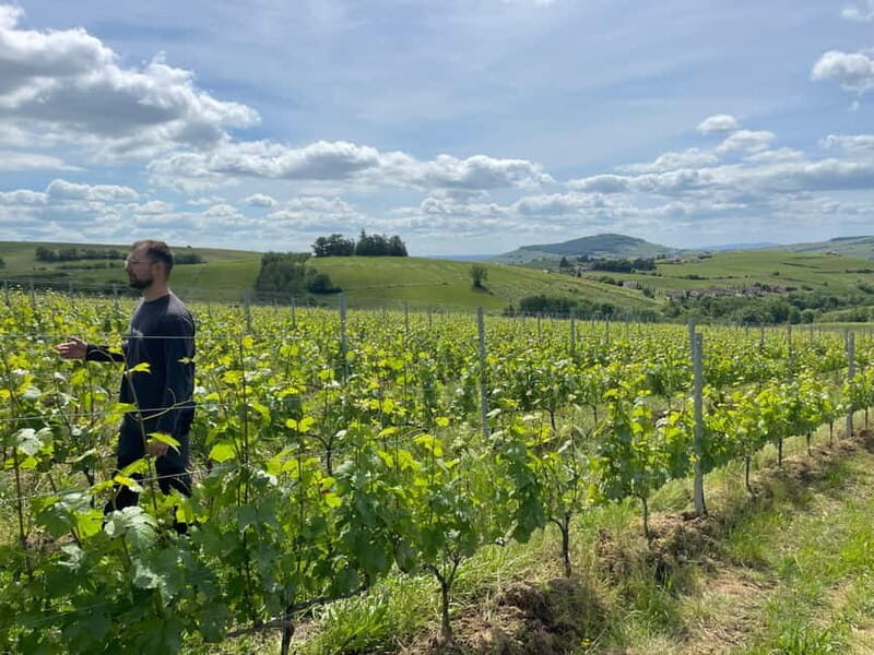 Private Rhône-Valley wine tour - What to Expect from the Rhône Valley Private Wine Tour