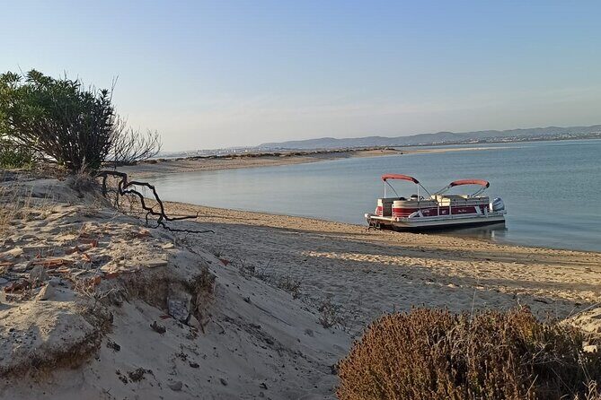 Private Ria Formosa Natural Park Boat Cruise from Faro - Practicalities and Considerations