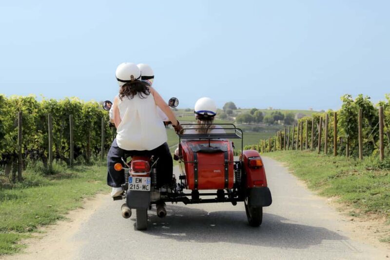 Private ride in the vineyards from Saint-Emilion - Practical Tips and Considerations