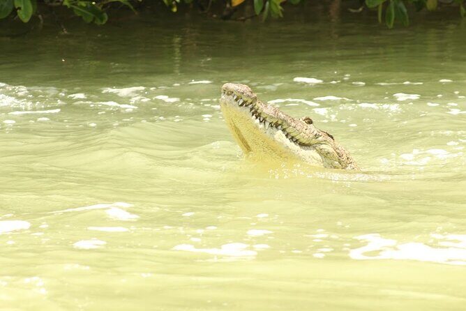 Private Rio Lagartos Flamingo and pink lakes - FAQ