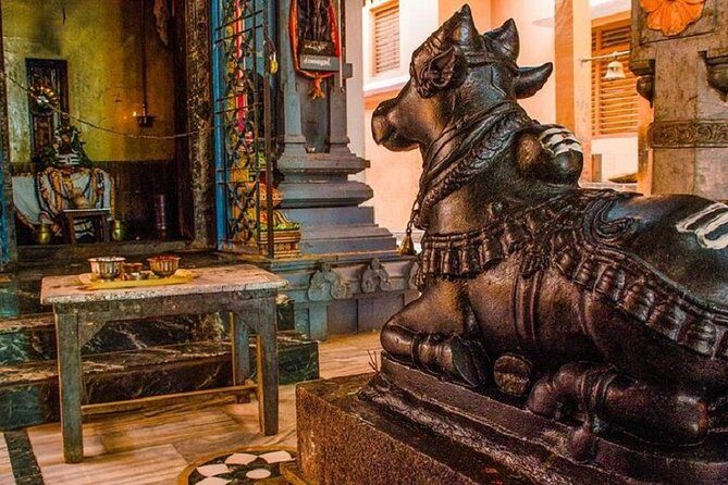 Private Riverside Walking Tour to Varanasi Temples - Final Thoughts: Who Should Consider This Tour?
