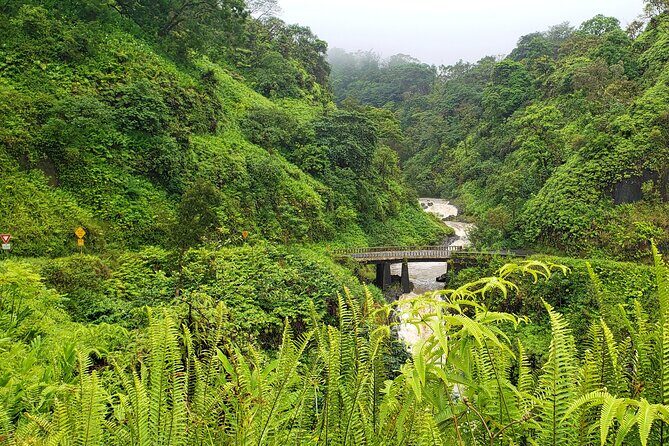 Private Road to Hana or any Maui destination in Luxury Mercedes Sprinter - The Itinerary: What to Expect on Your Day