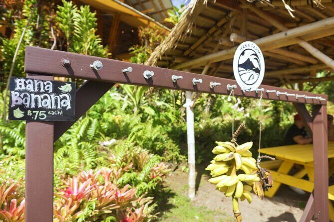 Private Road to Hana Rainforest & Waterfall Experience from Maui - A closer look at the experience