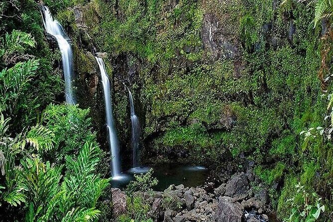 Private Road to Hana Rainforest & Waterfall Experience from Maui - The Journey Begins: What to Expect from the Tour