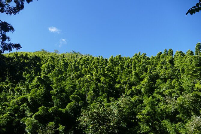 PRIVATE Road to Hana Tour - The Sum Up: Is It Worth It?