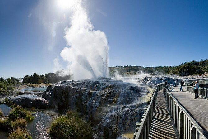 Private Rotorua Tour from Tauranga (Max 11) - Key Points