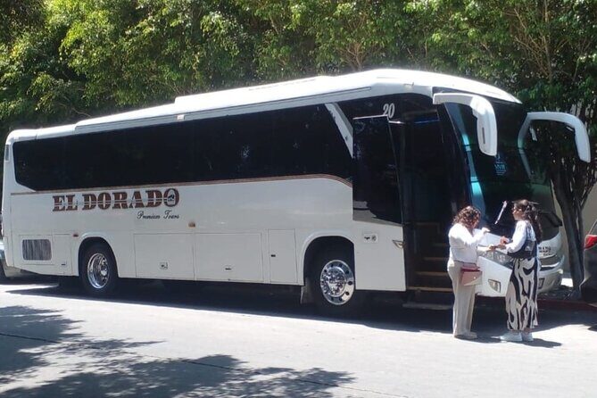 Private Round Transportation from Tijuana to Valle de Guadalupe - The Itinerary — What to Expect