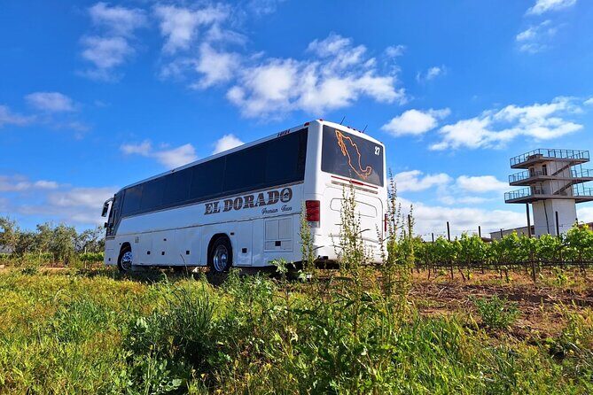 Private Round Transportation from Tijuana to Valle de Guadalupe - FAQ