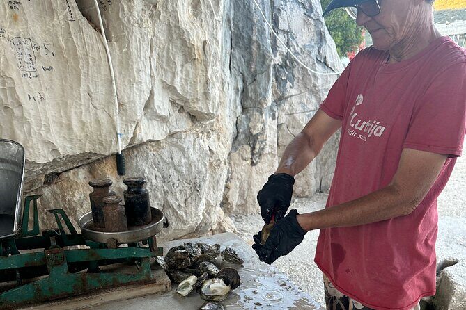 Private Round-Trip Airport Transfer in Dubrovnik - Final Thoughts