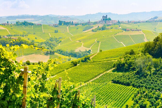 Private Round-Trip Transfer from Paris to Reims - Key Points