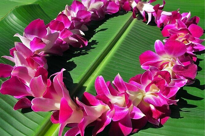 Private Round-Trip Transfer: Maui Kahului Airport to Maui Hotels - Frequently Asked Questions (FAQs)