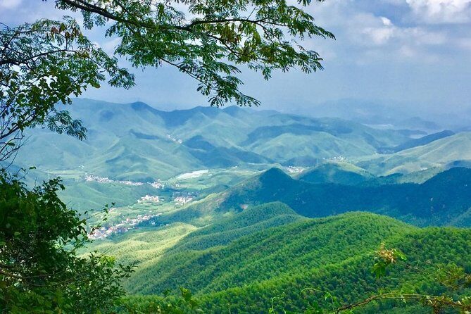 Private Round Trip Transfer to Mogan Mountain from Hangzhou - Key Points