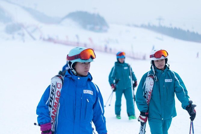 Private Round-Trip Transfer to Wanlong Ski Resort From Beijing - Who Is This Transfer Service Best For?