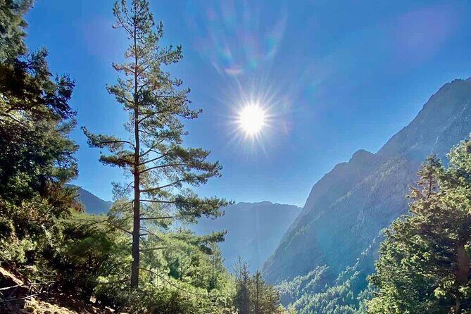 Private Roundtrip Transfer from Chania to Samaria Gorge Park - The Experience: Day in the Life of Your Samaria Gorge Tour